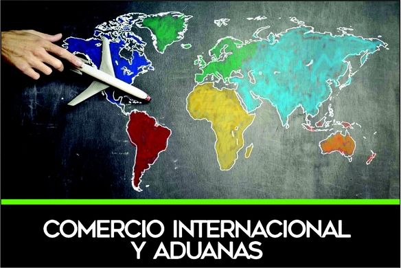 <span>Comercio internacional y aduanas</span>