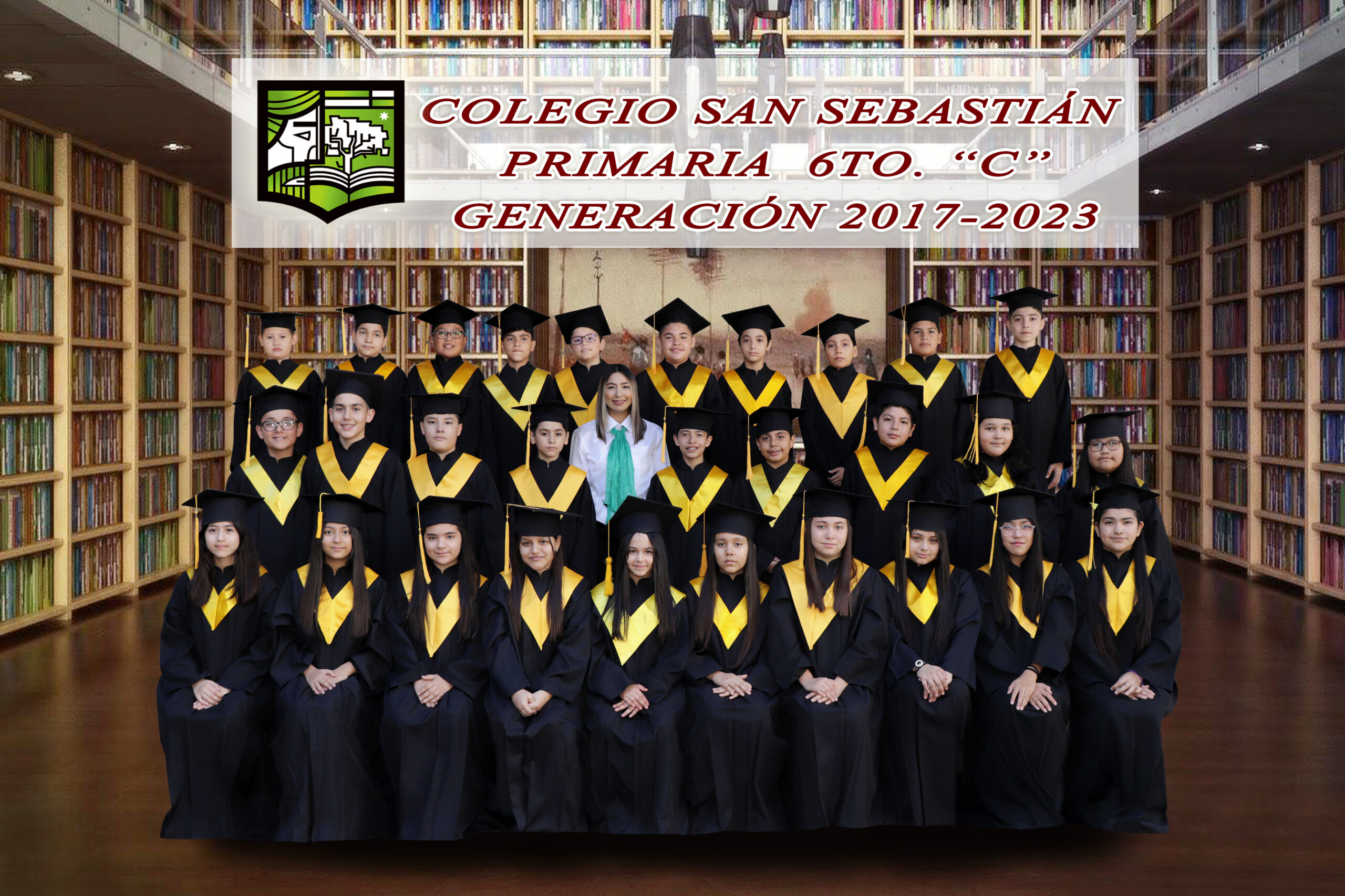 6C PRIM